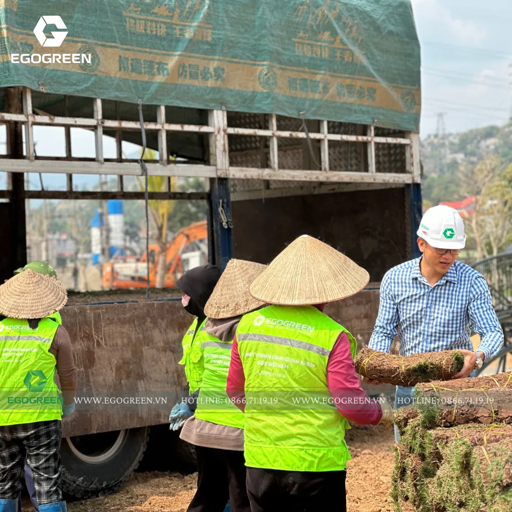 Đội ngũ nhân viên EGOGREEN kỳ vọng hoàn thiện dự án trong thời gian dự kiến.
